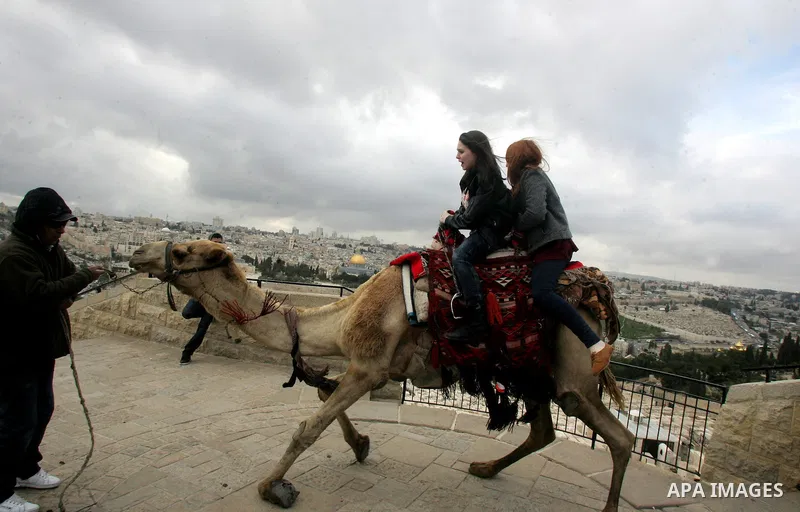 Foreign tourists ride a camel near the Dome of the Rock at the Al-Aqsa Mosque compound in Jerusalem on Feb. 21,2011. Photo by Mahfouz Abu Turk
