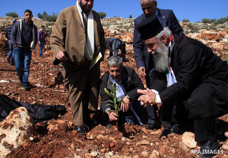A Palestinian christian, George Awad Alartdhuks helps farmers to plant olive trees during a protest against the uprooting of trees belonging to Palestinians by Jewish settlers near the settlement of Elon Moreh in the Wes...