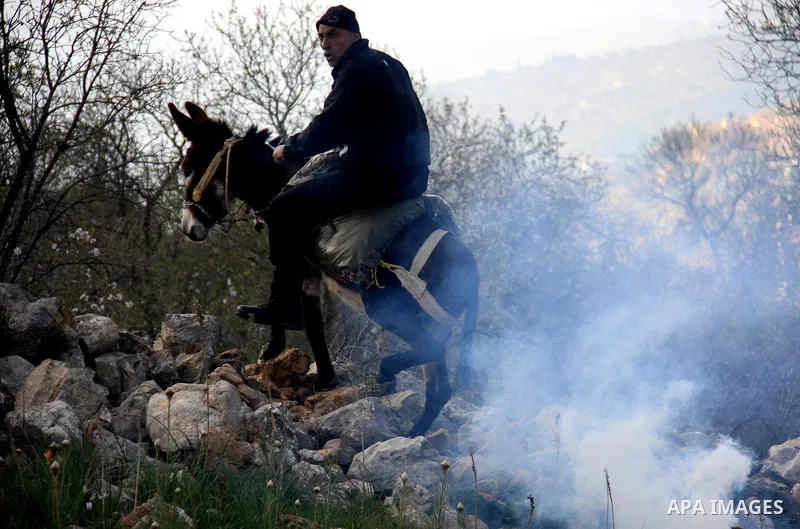 Palestinian demonstrators run to seek cover from tear gas fired by Israeli soldiers in the West Bank village of Iraq Borin near Nablus, on 05 March 2011. Two Palestinians were wounded after Israeli troops raided the vill...