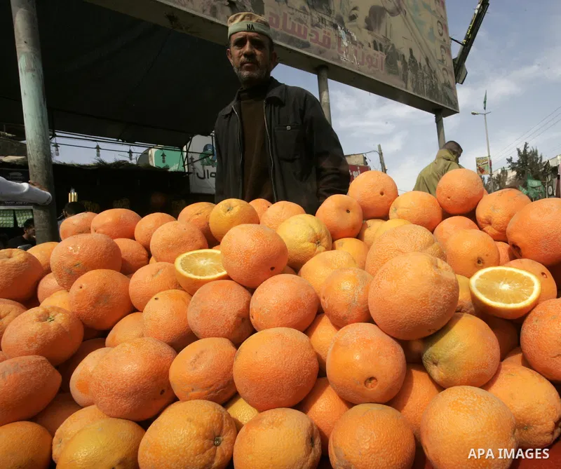 Palestinians shop at a market in Rafah refugee camp in the southern Gaza Strip on March 05, 2011. Photo by Abed Rahim Khatib