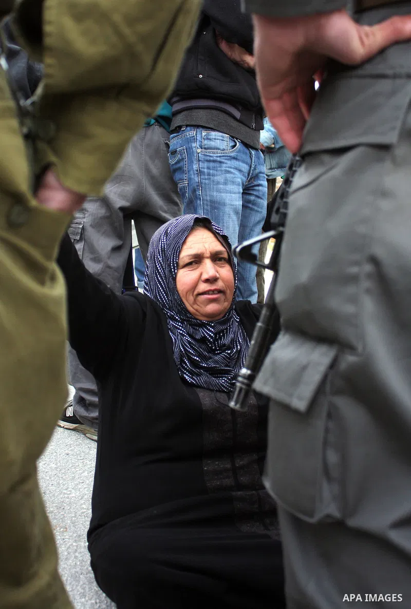 Protesters argue with an Israeli soldier during a demonstration against Israel's controversial separation barrier in the West Bank village of Maasarah, near the biblical town of Bethlehem on March 25, 2011.Israel says th...