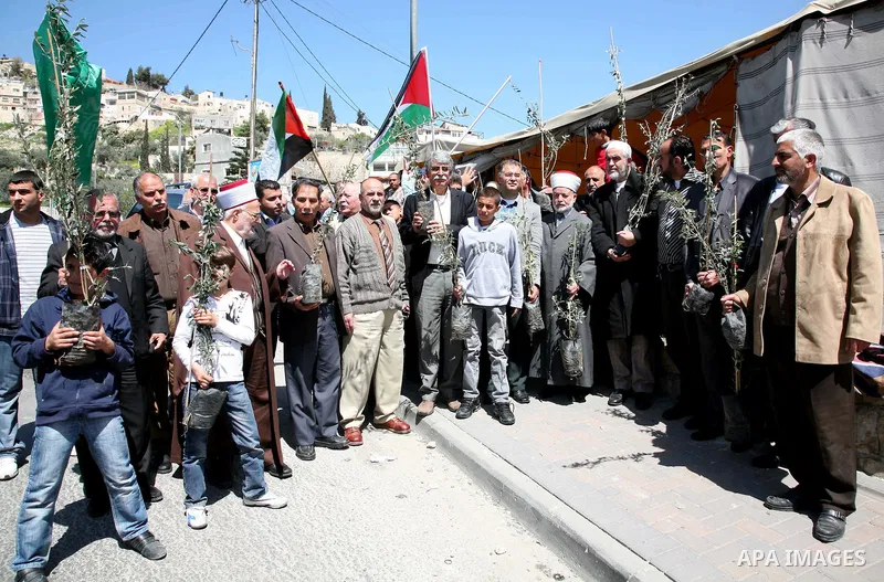 Sheikh Raed Salah and other Palestinians plant olive trees in Silwan, in East Jerusalem to mark the Land Day on March 30,2011, as hundreds of people across Israel and Palestinian territories were holding a series of rall...