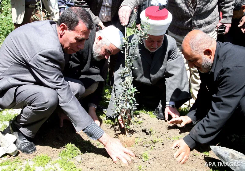 Sheikh Raed Salah and other Palestinians plant olive trees at the Mount of Olives, in East Jerusalem to mark the Land Day on March 30,2011, as hundreds of people across Israel and Palestinian territories were holding a s...