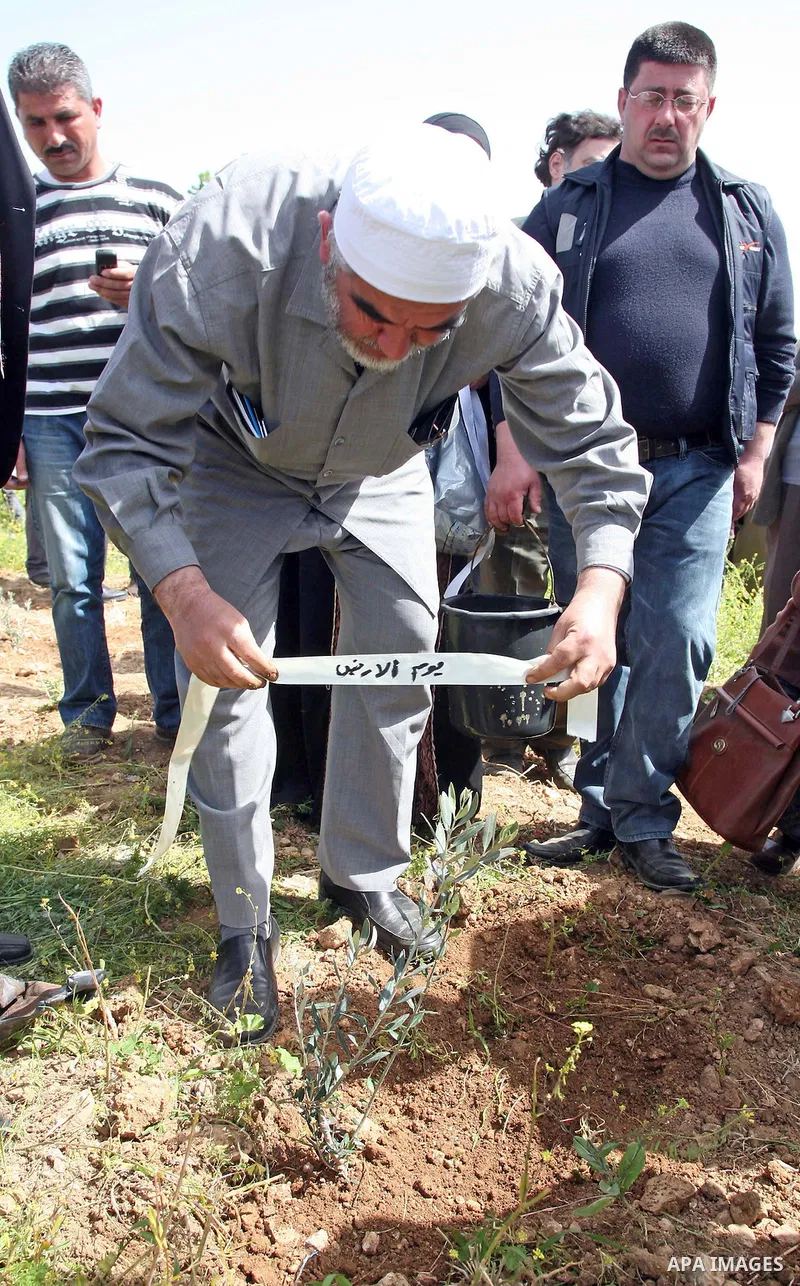 Sheikh Raed Salah and other Palestinians plant olive trees in the Village of the Prophet Samuel, near Jerusalem on April 1,2011. Photo by Sliman Khader.