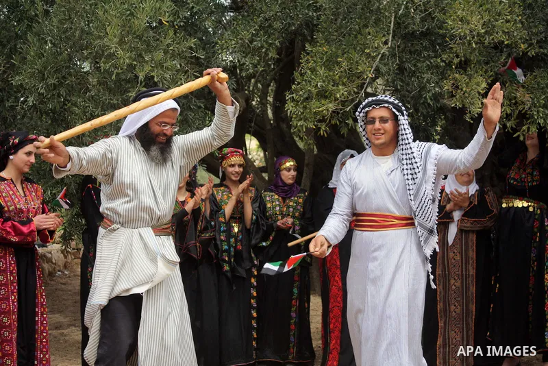 Palestinians plant olive trees near a Walajah's giant ancient olive tree, which the residents of the West Bank village say is the oldest in the Palestinian territories on April 03,2011, while Israeli earthmovers tear up...