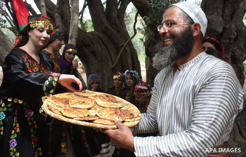 Palestinians plant olive trees near a Walajah's giant ancient olive tree, which the residents of the West Bank village say is the oldest in the Palestinian territories on April 03,2011, while Israeli earthmovers tear up...