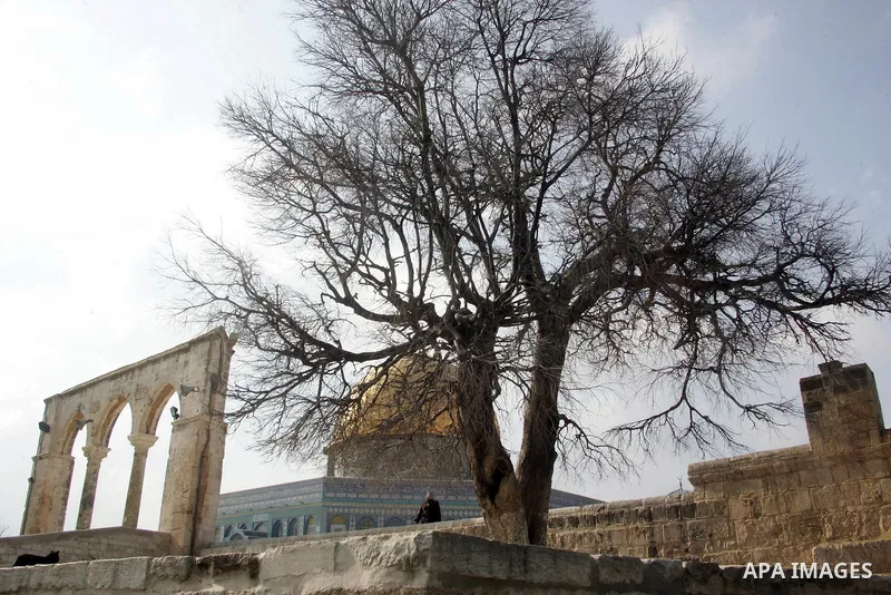 Dome of Rock is seen in the Al Aqsa Mosque compound, also known to Jews as the Temple Mount, in Jerusalem's old city on April 11,2011. Photo by Mahfouz Abu Turk