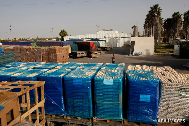 Trucks carrying goods transferred from Israel leaves the Kerem Shalom crossing point in Rafah, in the southern Gaza Strip April 13, 2011. Israel on Wednesday reopened the commercial crossing with the Hamas-ruled Gaza Str...
