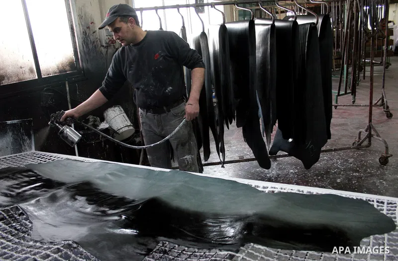 A Palestinian holds a piece of leather, some meant to be transported to Israel, Europe unions and Gaza strip at Palestine Tanning Factory in the West Bank city of Hebron April 14, 2011. Cattle owners in Hebron, the West...