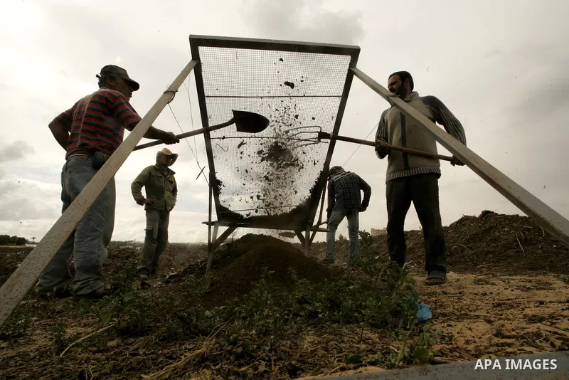 In this photo taken on April 21, 2011, Palestinian farmers work in turning the household garbage and the remains of plants into compost for farming in stead of the chemical fertilizers in the southern Gaza Strip town of...