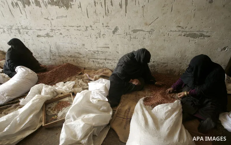 Palestinian women prepare peanut for selling at a toaster in the southern Gaza Strip town of Rafah on April 23, 2011. Palestinian women work as a result of the poverty rates which rose to high levels due to the Israeli b...