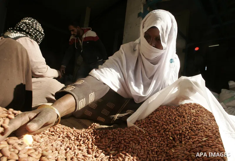 Palestinian women prepare peanut for selling at a toaster in the southern Gaza Strip town of Rafah on April 23, 2011. Palestinian women work as a result of the poverty rates which rose to high levels due to the Israeli b...
