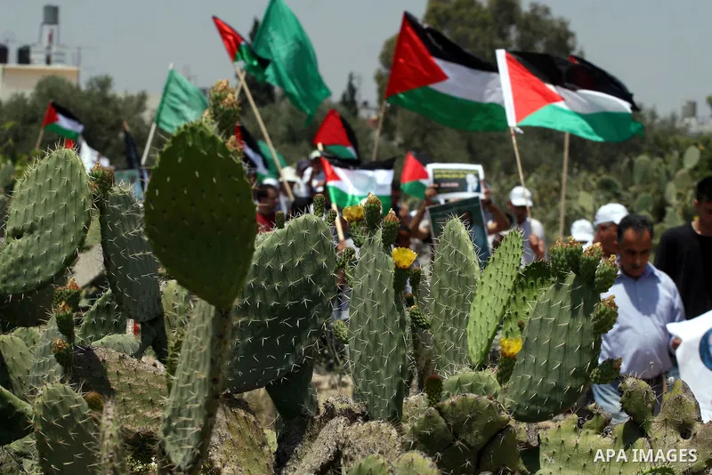 Palestinian demonstrators wave with their national flag during a protest against Israel's separation barrier in the West Bank village of Nilin, near Ramallah, Friday, June 3, 2011. Photo by Issam Rimawi