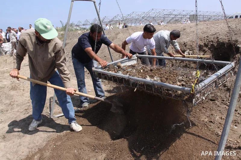 Palestinian Farmers harvest the agricultural land in Gaza city on June 6. 2011. where they grow crops properly without the intervention of a chemical harmful to the environment and human health. In the same place the pro...