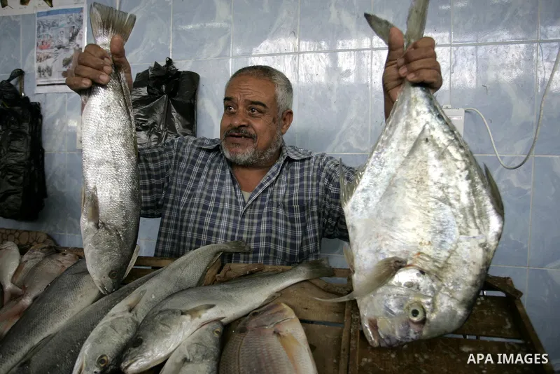 A Palestinian man sells the fish on the market in Rafah refugee camp in the southern Gaza Strip on June 11, 2011. Palestinians said that they rely on fish smuggled through tunnels from Egypt to Gaza. while fishermen suff...