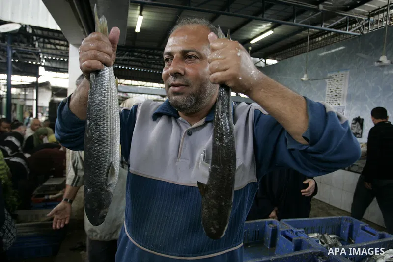 A Palestinian man sells the fish on the market in Rafah refugee camp in the southern Gaza Strip on June 11, 2011. Palestinians said that they rely on fish smuggled through tunnels from Egypt to Gaza. while fishermen suff...