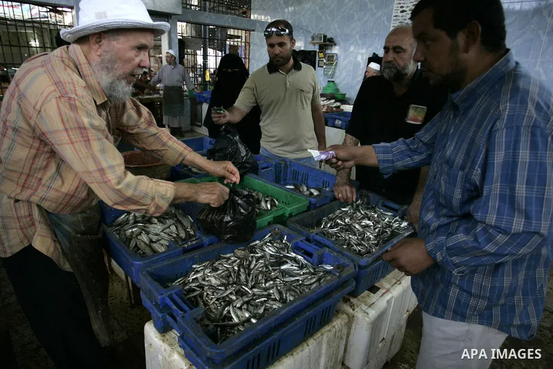 Palestinians buy the fish on the market in Rafah refugee camp in the southern Gaza Strip on June 11, 2011. Palestinians said that they rely on fish smuggled through tunnels from Egypt to Gaza. while fishermen suffering f...