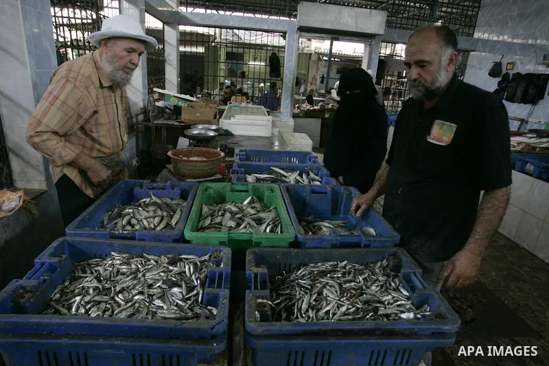 Palestinians buy the fish on the market in Rafah refugee camp in the southern Gaza Strip on June 11, 2011. Palestinians said that they rely on fish smuggled through tunnels from Egypt to Gaza. while fishermen suffering f...
