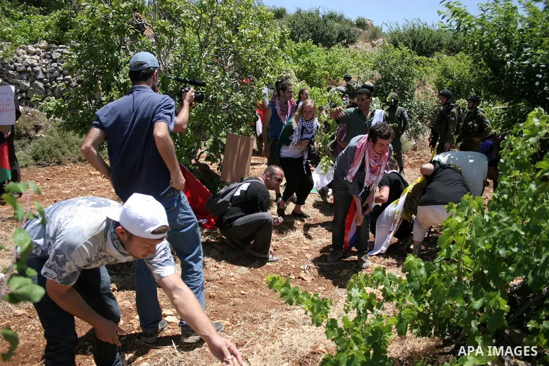 Palestinian, Israeli and foreign activists, during a demonstration against the destroy of farm lands used in the construction of Jewish settlements near the existing Israeli settlement of Karmi Tsor, near the Palestinian...
