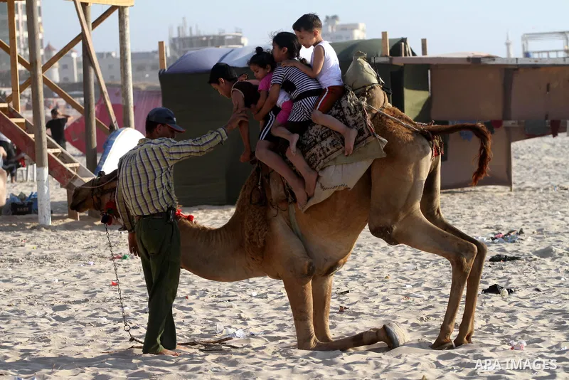Palestinian children enjoy swimming and riding camels at the beach in Gaza city on June 15, 2011. Photo by Mohammed Asad
