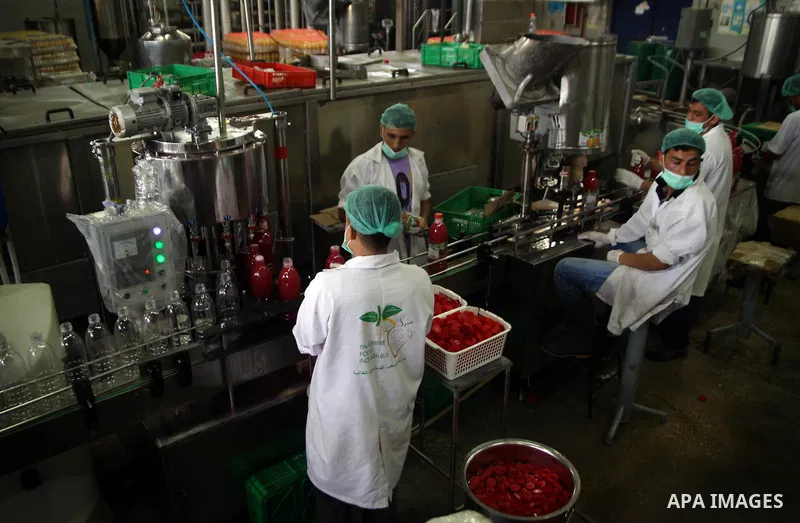 Palestinian workers bottle fruit juice at Juice Factory in Gaza City on Jun 16, 2011. it depends on citrus and fruit that are widely planted in Gaza Strip. Due to the closure of Gaza Strip crossings and the Israeli banni...