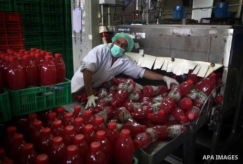 Palestinian workers bottle fruit juice at Juice Factory in Gaza City on Jun 16, 2011. it depends on citrus and fruit that are widely planted in Gaza Strip. Due to the closure of Gaza Strip crossings and the Israeli banni...