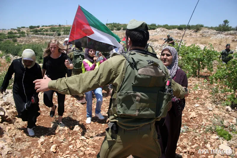 Israeli soldiers scuffle with protesters on Jun 18, 2011 during a demonstration by foreign, Israeli and Palestinian activists against the Jewish settlement of Karmei Tzur near the Palestinian village of Beit Omar, just n...