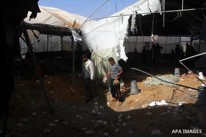 Palestinian men inspect a poultry farm damaged in an Israeli airstrike in Deir al-Balah, Gaza Strip, on June 22, 2011. Israel confirmed Wednesday that it had carried out an airstrike in the Gaza Strip for the first time...