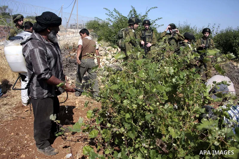 Israeli soldiers stand guards as protesters help a Palestinian farmer in his land on Jun 24, 2011 during a demonstration by foreign, Israeli and Palestinian activists against the Jewish settlement of Karmei Tzur near the...