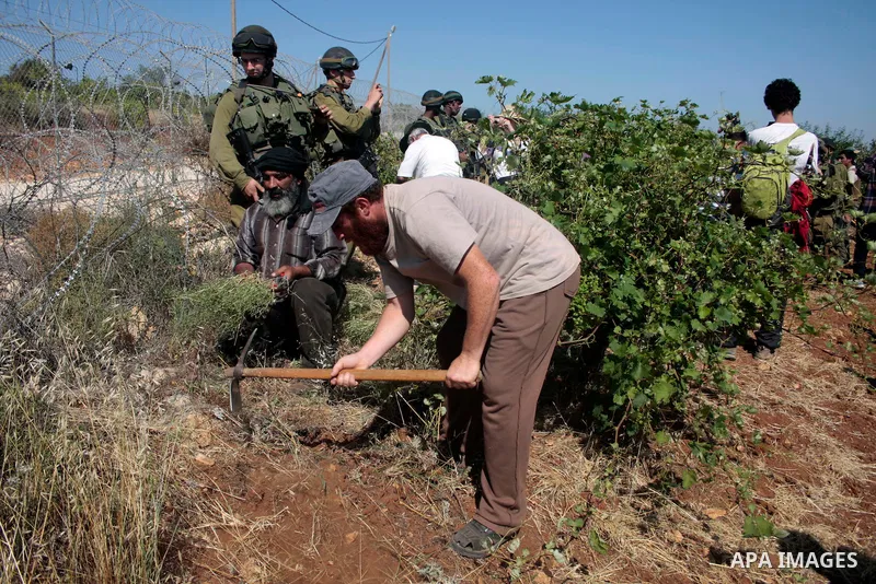 Israeli soldiers stand guards as protesters help a Palestinian farmer in his land on Jun 24, 2011 during a demonstration by foreign, Israeli and Palestinian activists against the Jewish settlement of Karmei Tzur near the...