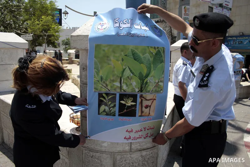 Palestinian police officers hold a poster near the confiscated drugs which include heroin, opium and marijuana during a campaign against illegal drugs in the West Bank city of Hebron, 26 June 2011. Photo by Najeh Hashlam...