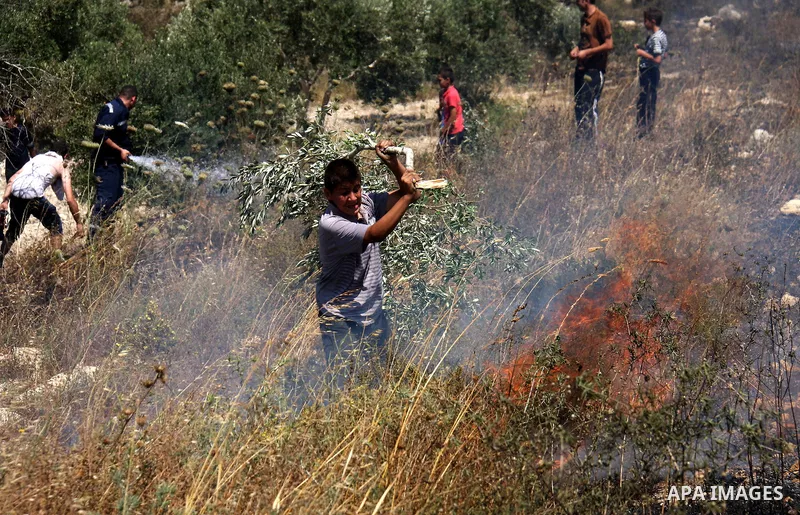 Palestinian villagers put out a burning field which according to witnesses was set ablaze by Jewish settlers on June 30, 2011 in the Israeli-occupied Palestinian West Bank village of Hawara. Photo by Wagdi Eshtayah