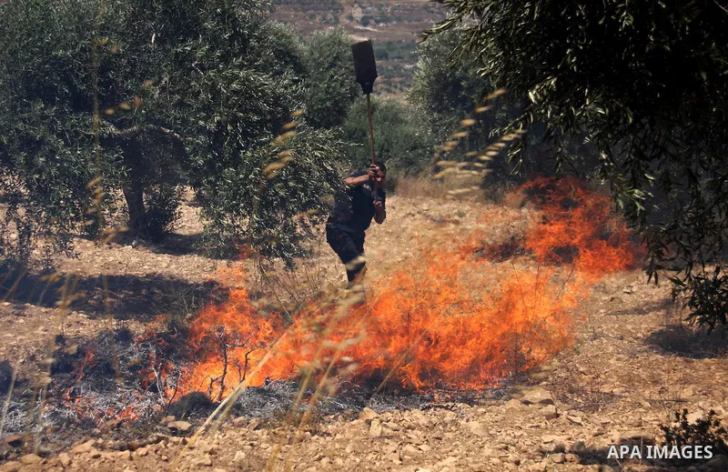 Palestinian villagers put out a burning field which according to witnesses was set ablaze by Jewish settlers on June 30, 2011 in the Israeli-occupied Palestinian West Bank village of Hawara. Photo by Wagdi Eshtayah