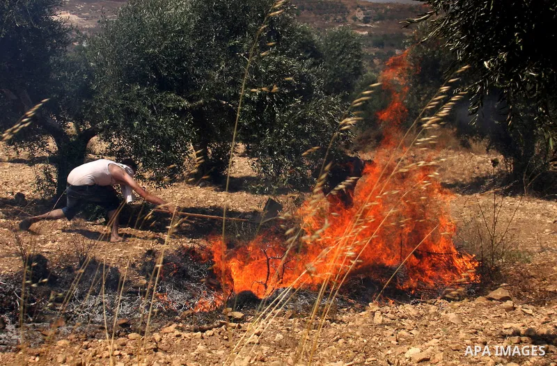 Palestinian villagers put out a burning field which according to witnesses was set ablaze by Jewish settlers on June 30, 2011 in the Israeli-occupied Palestinian West Bank village of Hawara. Photo by Wagdi Eshtayah