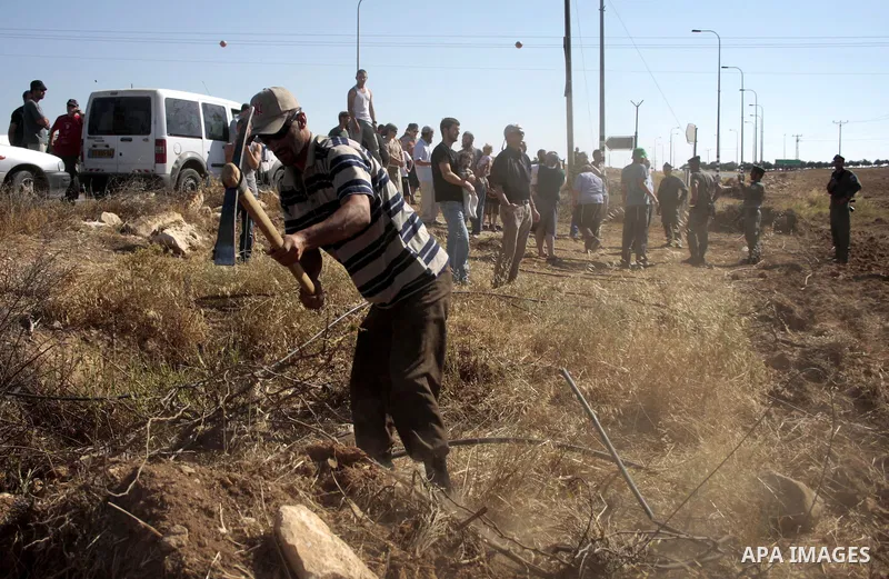 Palestinian farmers work at their land as Israeli border guards prepare to evacuate Jewish settlers who tried to make a sit-in on a Palestinian land that was being cultivated by farmers, on July 1, 2011, in the West Bank...