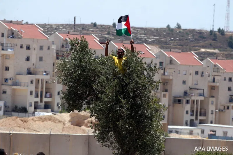 A Palestinian demonstrator celebrates at the site where Israeli forces ripped down part of its controversial separation barrier outside the West Bank village of Bilin, the focus of anti-barrier protests, on July 1, 2011....