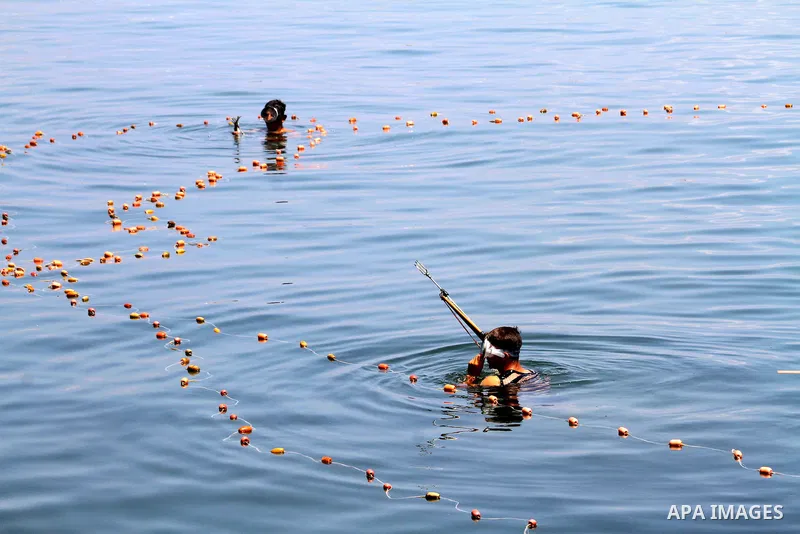Palestinian fishermen swim at Gaza seaport on July 7, 2011. Pro-Palestinian activists hoping to sail to Gaza this week fully expected their flotilla to be blocked by Israeli marines. Photo by Mohammed Asad