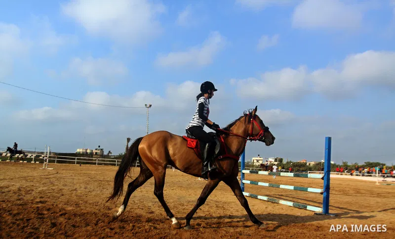 A Palestinian rides a horse during the "Jump Championship" race in Gaza City July 8, 2011. Photo by Ali Jadallah
