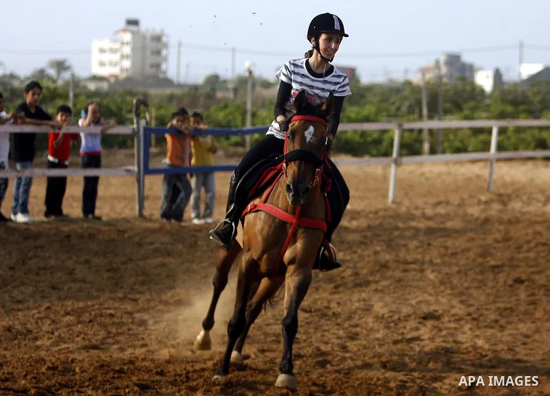 A Palestinian rides a horse during the "Jump Championship" race in Gaza City July 8, 2011. Photo by Ali Jadallah