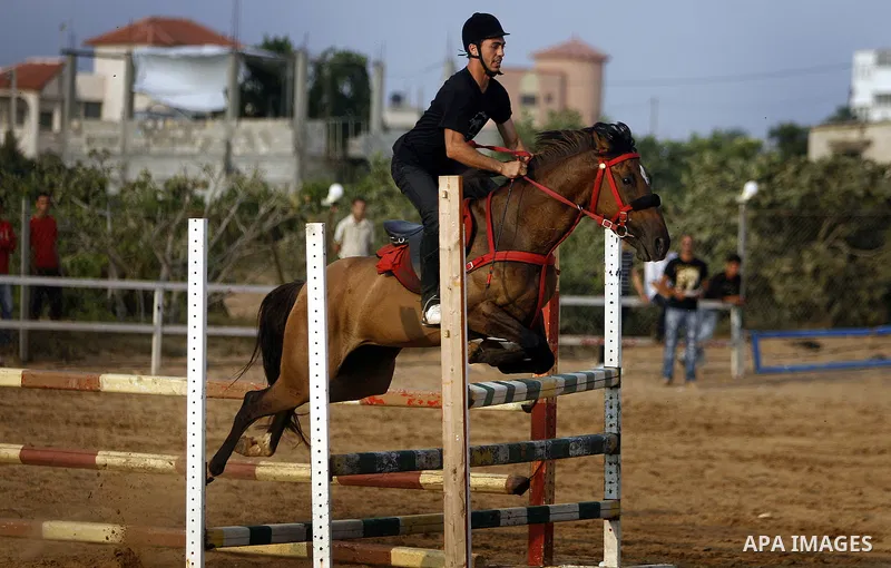 A Palestinian rides a horse during the "Jump Championship" race in Gaza City July 8, 2011. Photo by Ali Jadallah