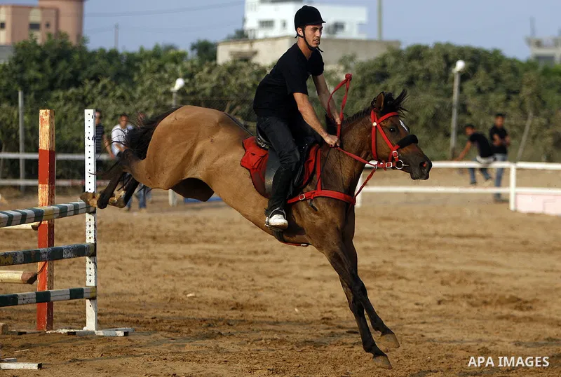 A Palestinian rides a horse during the "Jump Championship" race in Gaza City July 8, 2011. Photo by Ali Jadallah