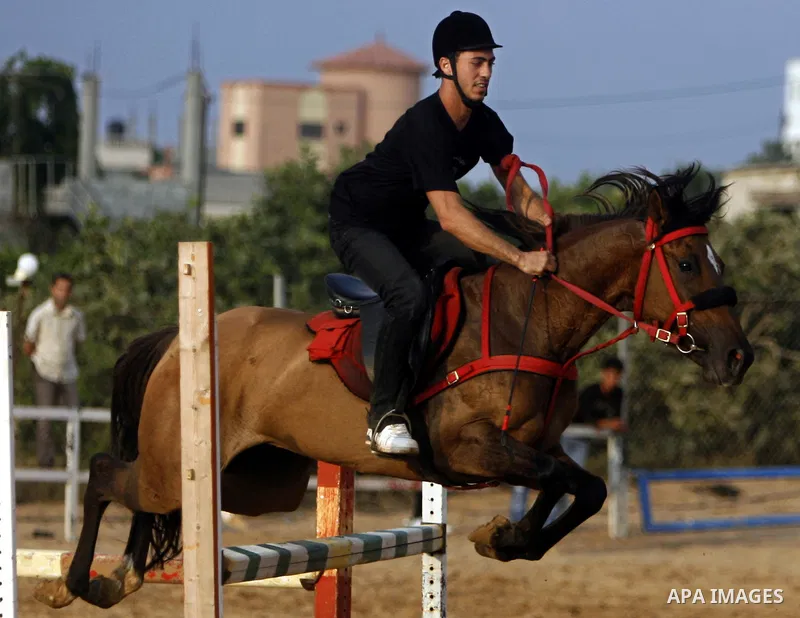 A Palestinian rides a horse during the "Jump Championship" race in Gaza City July 8, 2011. Photo by Ali Jadallah