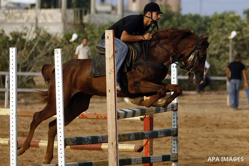 A Palestinian rides a horse during the "Jump Championship" race in Gaza City July 8, 2011. Photo by Ali Jadallah