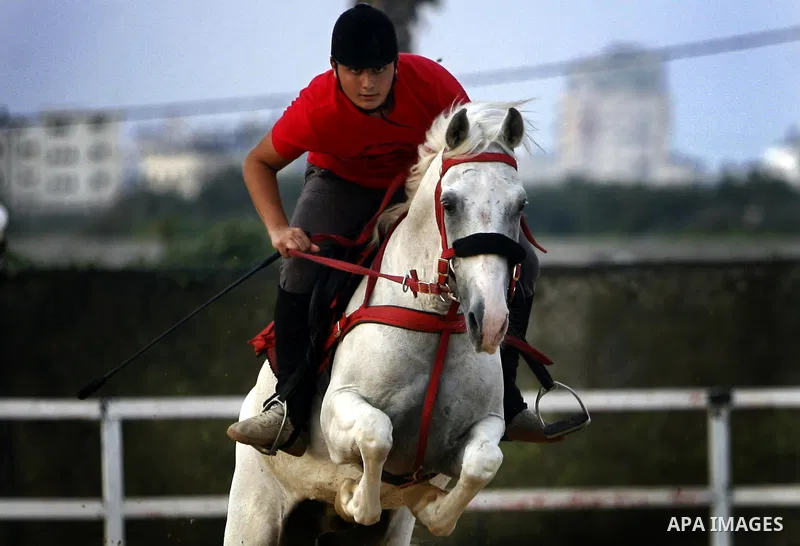 A Palestinian rides a horse during the "Jump Championship" race in Gaza City July 8, 2011. Photo by Ali Jadallah