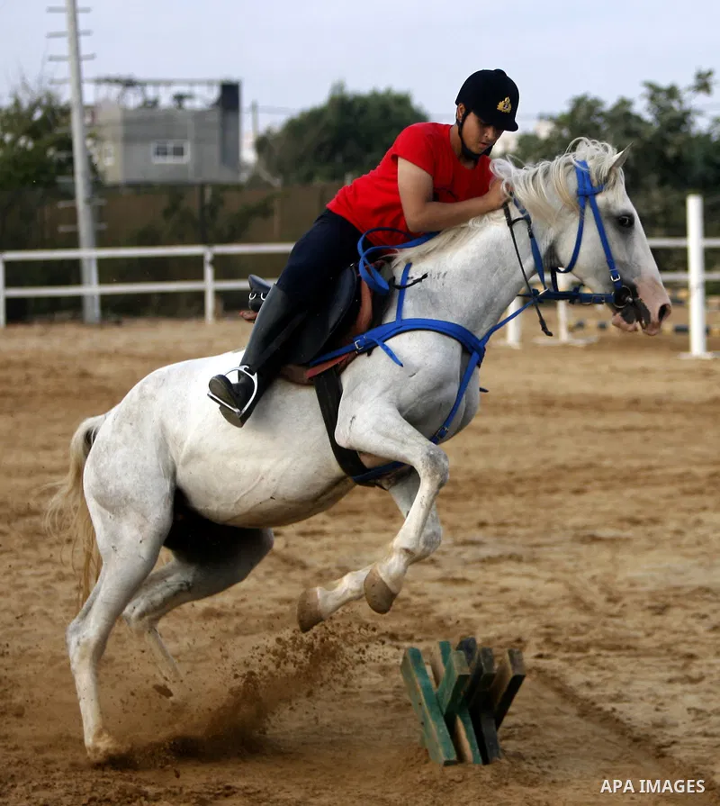 A Palestinian rides a horse during the "Jump Championship" race in Gaza City July 8, 2011. Photo by Ali Jadallah