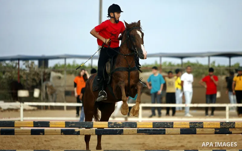 A Palestinian rides a horse during the "Jump Championship" race in Gaza City July 8, 2011. Photo by Ali Jadallah