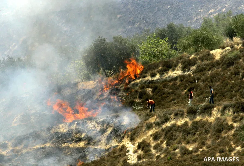 Palestinians try to extinguish a fire on their land after Israeli settlers from the settlement of Yitshar burned the fields at the village of Burin near the West Bank town of Nablus, 15 July 2011. A group of Israeli sett...