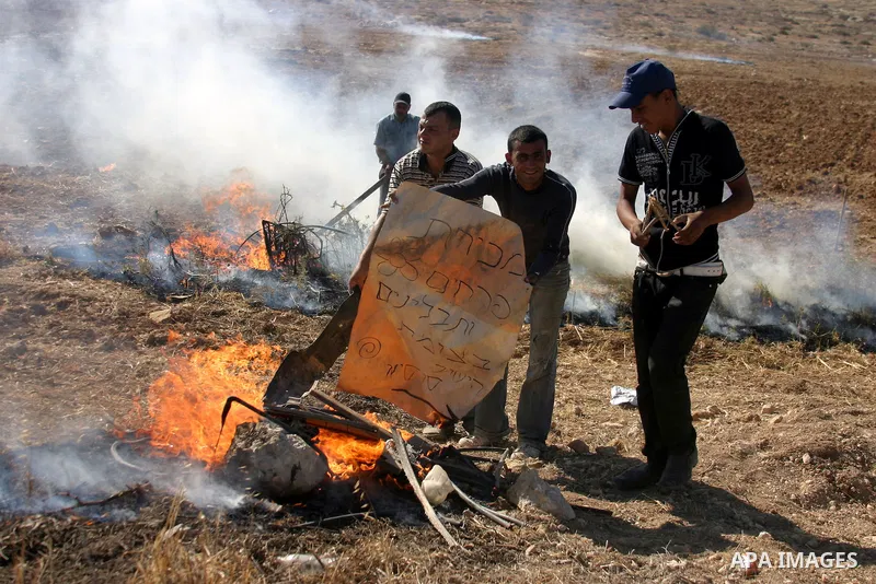 Israeli soldiers stand guard (not seen) as Palestinian farmers work at their land after returned to them by the Jewish settlers next to the Israeli settlement of Sosia, near the West Bank city of Hebron on July 23, 2011....