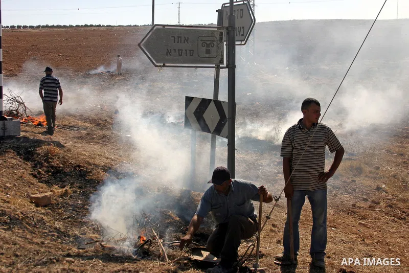 Israeli soldiers stand guard (not seen) as Palestinian farmers work at their land after returned to them by the Jewish settlers next to the Israeli settlement of Sosia, near the West Bank city of Hebron on July 23, 2011....