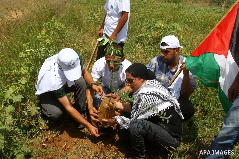 Palestinian protesters during planting seedlings, in a demonstration on July 30, 2011 on the outskirts of Gaza City against the military zone Israel created on Palestinian land, east of the city, as a buffer between its...